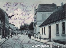 3902. Dolsk - widokowka z poczatku XX wieku