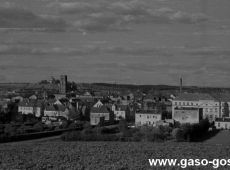 393.Panorama Gostynia 1954r.