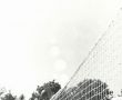 3938.Tydzien sportu szkolnego w Liceum Ogolnoksztalcacym w Gostyniu - turniej pilki siatkowej (28 maja 1977 r.)