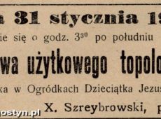 399.Ogloszenie z prasy gostynskiej - 1931r.