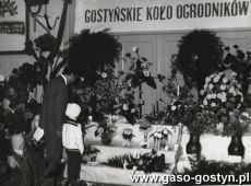 4124.Wystawa ogrodnicza w Gostyniu