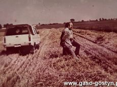 4299.Zniwa w gospodarstwie PGR Bodzewo (1976 r.)-na zdjeciu dyrektor Kombinatu PGR Gola dr inz. Edmund Skoczylas i glowny agronom Jerzy Niemczyk