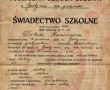 43. Swiadectwo szkolne z 1920roku (Wielkopolska Publiczna Szkola Ludowa w Gostyniu)