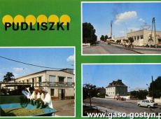 4334.Pocztowka z Pudliszek
