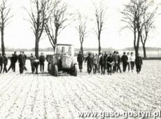 4352.Mlodziez z Zasadniczej Szkoly Zawodowej w Gostyniu na wykopkach na polu PGR (1981 r.)