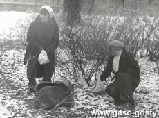 4355. Panstwowy Dom Dziecka w Bodzewie - zajaczek wielkanocny przygotowany przez uczennice (czlonkinie PCK) Liceum Ogolnoksztalcacego (20 marca 1978 r.)