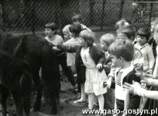 4534.Z okazji Miedzynarodowego Dnia Dziecka przedszkolaki z gostynskiego Przedszkola nr 2 wyjechaly na wycieczke do Stadniny Koni w Pepowie (1987 r.)