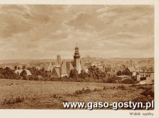 454.Panorama Gostynia - okolo 1925r.