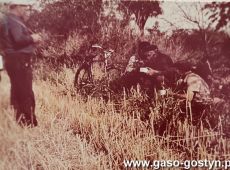 4540.Zniwa w Lece Wielkiej, w gospodarstwie nalezacym do Kombinatu PGR Gola  - kierownik Stanislaw Machowski i kombajnisci przy posilku (1976 r.)