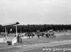 455.Zawody w powozeniu zaprzegami w Gostyniu (dawne boisko sportowe, obecnie teren huty szkla, ok. 1955 r.)