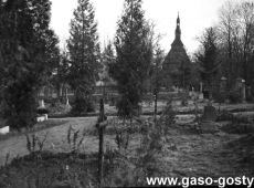 4555.Kosciol w Domachowie - widok od strony cmentarza