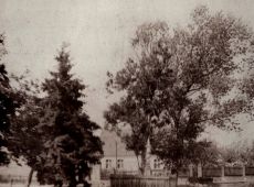 4657.Dom rodziny Skorupkow w Kosowie (1930 r.)