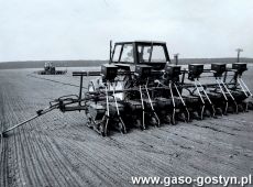 4664.Siew burakow polskim siewnikiem Areomat II z dozowaniem preparatow doglebowych w gospodarstwie Kosowo nalezacym do Kombinatu PGR Gola (1986 r.)