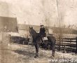 4733.Na koniu (z hodowli ojca) Zygmunt Karlowski, syn Stanislawa Karlowskiego i Rozy z ksiazat Poninskich (Szelejewo, ok. 1930 r.)