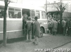 503.Wyjazd na pola PGR uczniow i nauczycieli SP 2 w Gostyniu na zbieranie kamieni (AKCJA KAMIEN)-1973R.