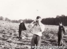 506.Uczniowe SP 3 w Gostyniu podczas zbierania ziemniakow (tzw. wykopki) na polach PGR Gola-1967r.