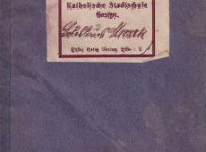 5108.Swiadectwo Miejskiej Szkoly Katolickiej w Gostyniu (1913-1917 r.)