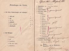 5111.Swiadectwo Miejskiej Szkoly Katolickiej w Gostyniu (1913-1917 r.)
