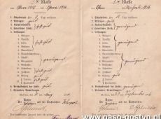 5113.Swiadectwo Miejskiej Szkoly Katolickiej w Gostyniu (1913-1917 r.)