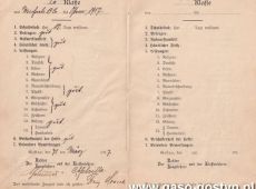 5114.Swiadectwo Miejskiej Szkoly Katolickiej w Gostyniu (1913-1917 r.)