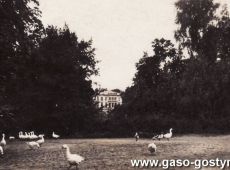 5123.Widok na palac i park Potworowskich w Kosowie (sierpien 1932 r.)