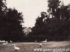 5123.Widok na palac i park Potworowskich w Kosowie (sierpien 1932 r.)