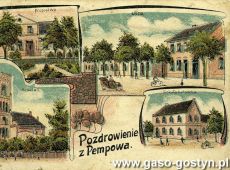 5259.Pepowo - pocztowka z poczatku XX wieku