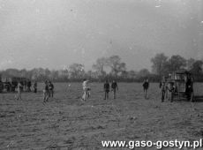 5296.Uczniowie Szkoly Podstawowej nr 1 podczas zbioru ziemniakow na polu PGR w okolicach Gostynia (1982 r.).JPG