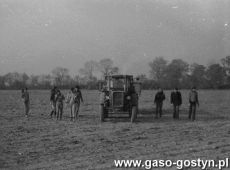 5297.Uczniowie Szkoly Podstawowej nr 1 podczas zbioru ziemniakow na polu PGR w okolicach Gostynia (1982 r.).JPG