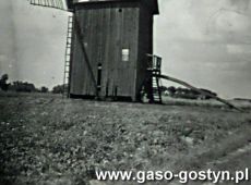 5325.Wiatrak w Czachorowie wybudowany wg daty na mlynicy w 1737 roku (zdjecie z polowy lat 50. XX wieku), przy tym wiatraku w 1990 roku krecono sceny do polskiego horroru Powrot willczycy