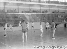 5360.Turniej pilki siatkowej dziewczat i chlopcow szkol podstawowych o puchar burmistrza Gostynia (hala SP 2, 1991 r.).JPG