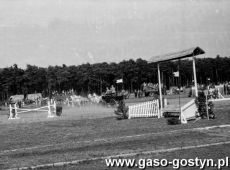 540.Zawody w powozeniu zaprzegami na boisku w Gostyniu  (ok. 1955 r.)