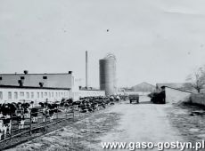 5476.Kombinat PGR Gola - cieletnik i silosy wiezowe do kiszonki (1972 r.)