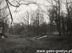5493.Park okalajacy zamek w Rokosowie