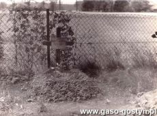 5495.Cmentarz w Skoraszewicach - mogila powstanca wielkopolskiego Jozefa Zapenskiego (1901-1919), zdjecie z 1919 roku