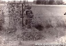 5495.Cmentarz w Skoraszewicach - mogila powstanca wielkopolskiego Jozefa Zapenskiego (1901-1919), zdjecie z 1919 roku