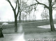 5500.Staw w Goli przy szosie z Gostynia do Leszna (lata 70. XX wieku)