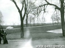 5500.Staw w Goli przy szosie z Gostynia do Leszna (lata 70. XX wieku)