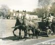 560.Swieto Ludowe w Gostyniu - Turniej wsi Daleszyn-Kunowo-Gola (29 maja 1977r.)