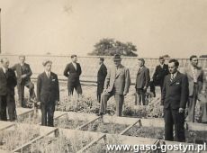 5638.Szklarnie Stanislawa Fenrycha w Pudliszkach (okres miedzywojenny)