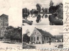 5743.Pepowo - pocztowka z poczatku XX wieku