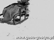 5764. Gostyn - zima 1984 r. (okolice zlobka)