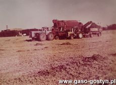 5814.Zbior groszku zielonego na polu Kombinatu PGR Gola (1978 r.)