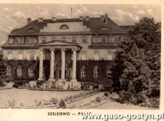5941.Palac w Szelejewie (pocztowka z poczatku XX wieku)