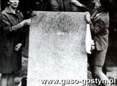 5956.Pracownicy Powiatowej i Miejskiej Biblioteki Publicznej w Gostyniu przed pomnikiem Fryderyka Chopina w Zelazowej Woli, od lewej Gebariela Wyzujak, Jolanta Gardys i Stefan Markowski
