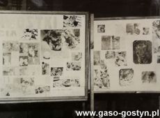 6019.Wystawa zorganizowana przez czlonkow kolka przyrodniczego w Liceum Ogolnoksztalcacym w Gostyniu (1969 r.)