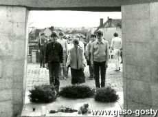 6028.Capstrzyk z okazji Dnia Zwyciestwa  (9 maja 1985 r.) - skladanie przez delegacje wiazanek pod pomnikiem na Gorze Zamkowej w Gostyniu