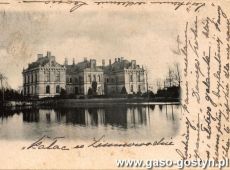 6186.Palac w Zimnowodzie na pocztowce z poczatku XX wieku