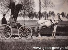 6187.Powozi Jozef Kolodziejczak - kierownik gorzelni w majatku Edwarda Potworowskiego w Goli (2. polowa lat 30. XX wieku)
