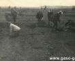 6191.Zbiorka ziemniakow przez uczniow Szkoly Podstawowej w Bodzewie na polu miejscowego PGR-u (wrzesien 1969 r.)
